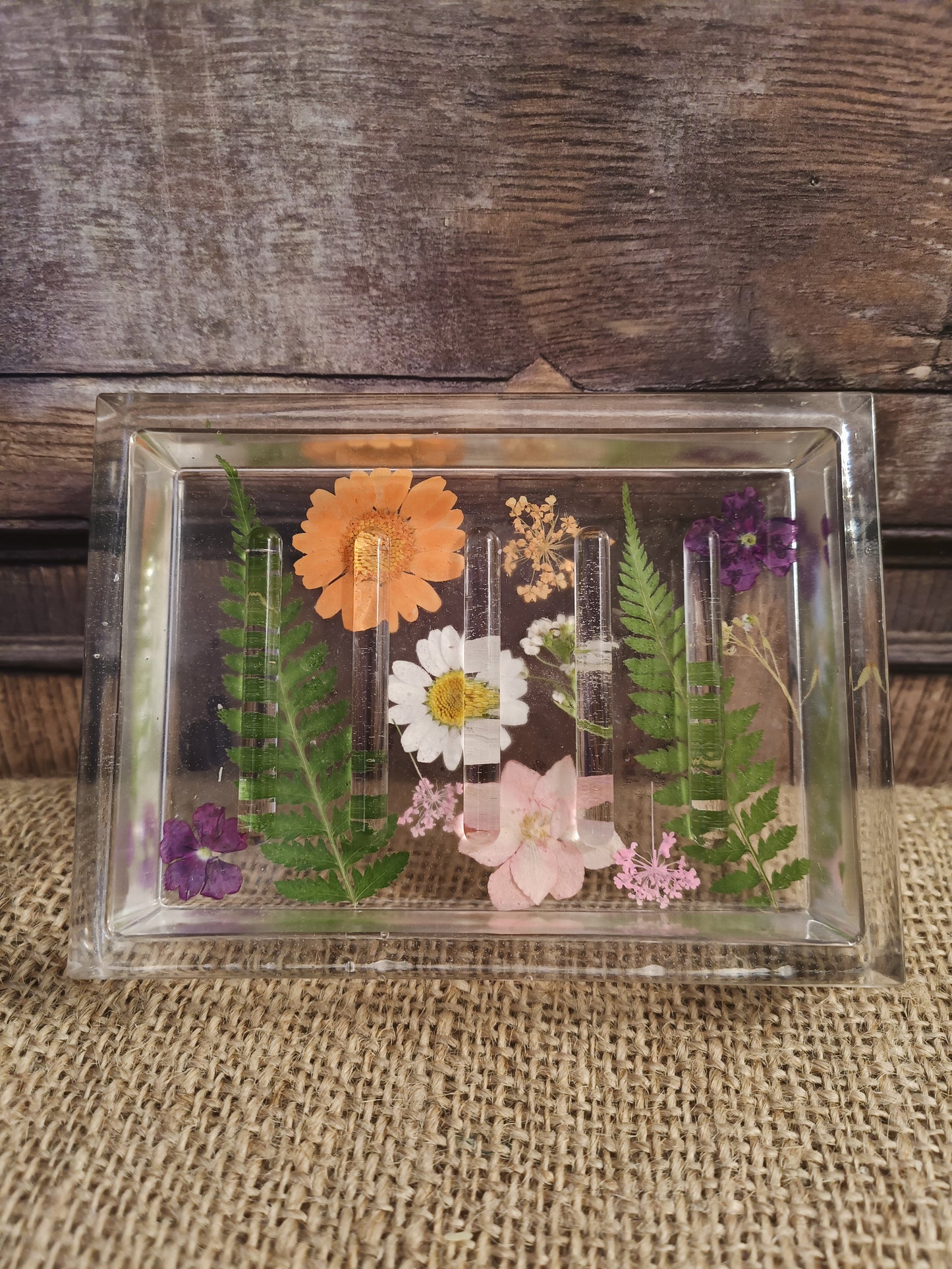 Rectangle soap dish