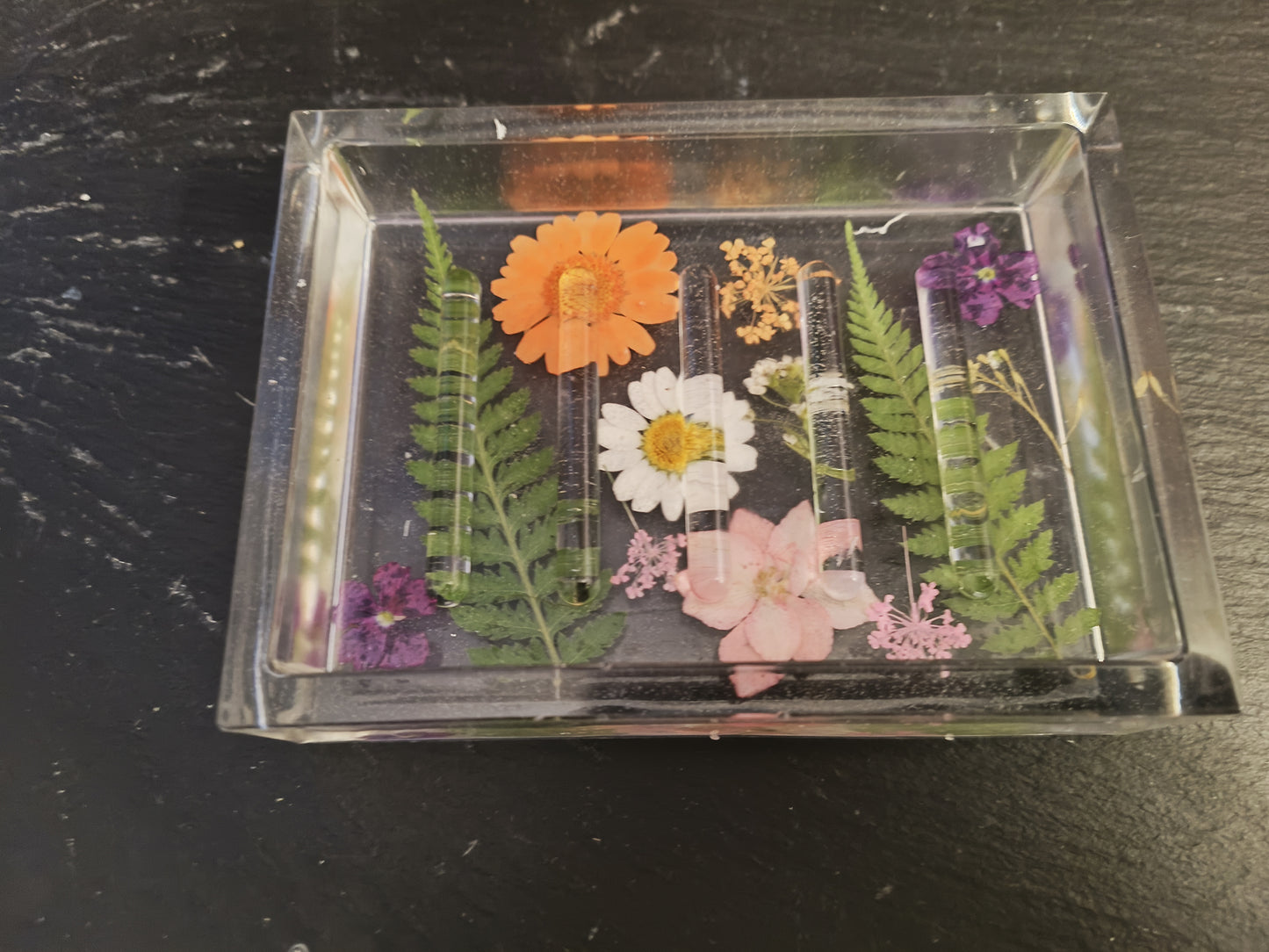 Rectangle soap dish